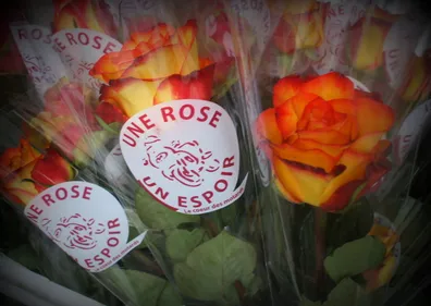 Forez : l'opération "1 rose, 1 espoir", de retour le 28 avril