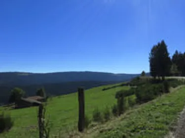 Forez : la saison estivale approche à grand pas…