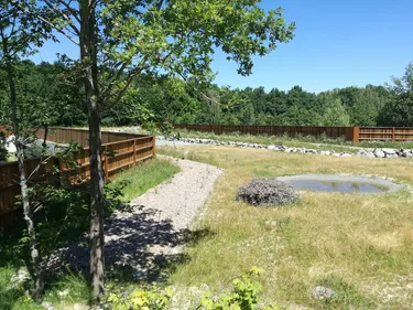 Loire : les animaux peuvent enfin passer au-dessus de l’A72 !