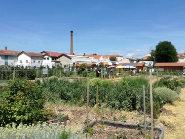À Roanne, les employés de Pralus ont la main verte