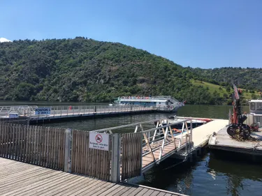 Le retour des algues à Saint-Victor-sur-Loire et Villerest !