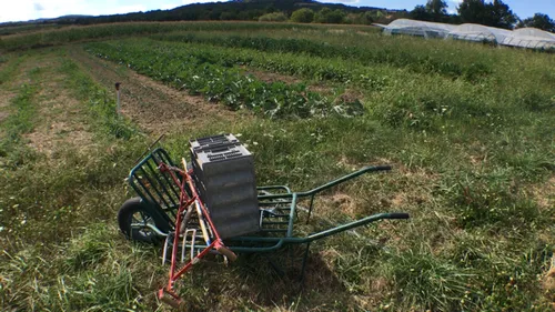 Le dossier de la rédac : peut-on se passer du Glyphosate ?
