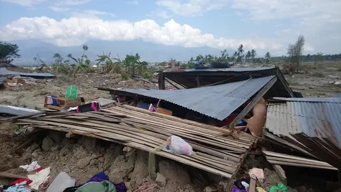 Les deux équipes PHF de retour à Saint-Etienne après 10 jours en...