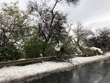 Neige : circulation, TER, prise de parole... Le point complet sur...