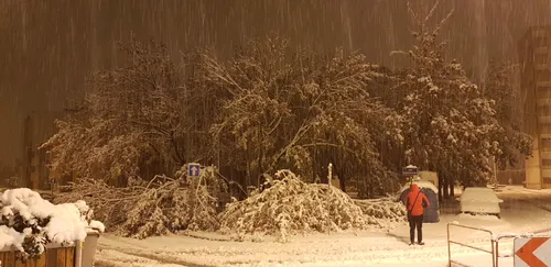 Neige : jusqu'à 70.000 foyers privés d'électricité dans la Loire