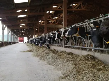 La sécheresse alerte dans la campagne roannaise