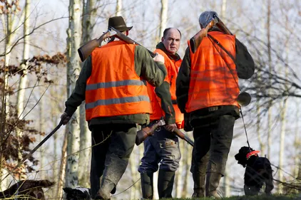 Accidents, balles perdues... la réponse des chasseurs de la Loire