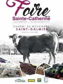 On fête la Sainte Catherine ce weekend à Saint-Galmier !
