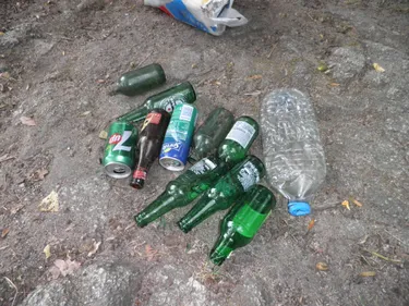 Loire : "Rando pour la planète" continue son combat pour une...