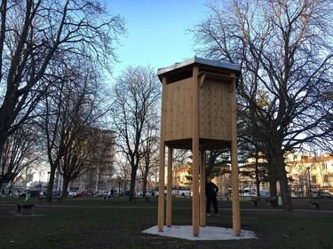 Saint-Etienne s'attaque aux nuisances causées par les pigeons......