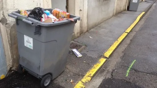 Haute-Loire : 9 chiots décédés, sauvagement abandonnés dans une...