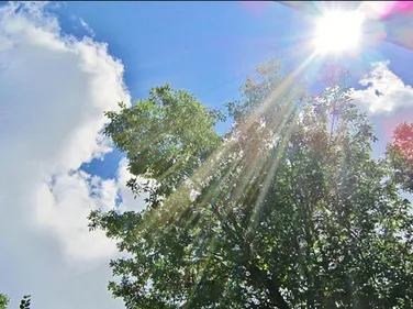 Canicule : l'école des Plaines au Coteau restera fermée jeudi et...