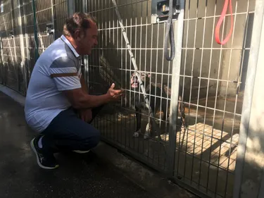 Animaux de compagnie ... quelles solutions pour les vacances ?