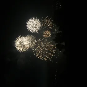 Le feu d'artifice à Roanne écourté