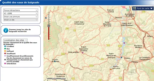 Cyanobactéries : baignade interdite à Saint-Victor, Villerest,...