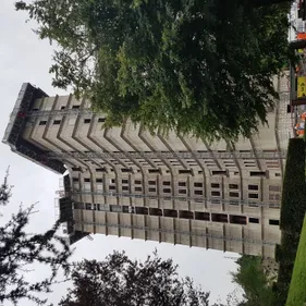 Saint-Etienne : la tour Y en cours de démolition dans le quartier...