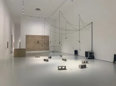 Immersion dans l'Arte Povera au Musée d’Art Moderne et Contemporain...