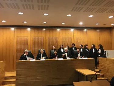 Avocats, raffineries, transports ... le point sur les mobilisations...