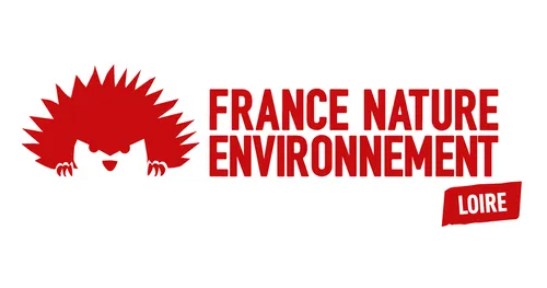 Environnement : quels animaux observer dans la Loire en janvier ?