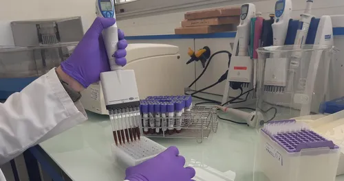 Test covid : les laboratoires vétérinaires en soutien pour répondre...