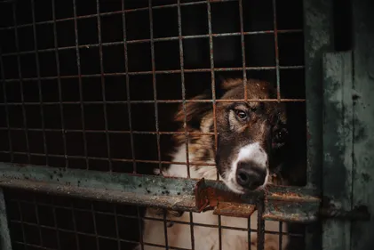 Vente interdite sur internet, numéro vert ... 121 propositions pour...