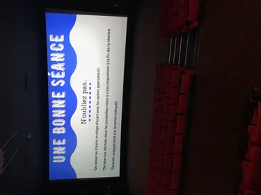 Cinéma : comment faire revenir le public ?