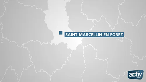 Loire : un homme de 79 ans mort suite à une sortie de route