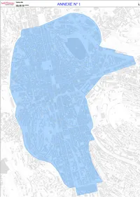 Saint-Etienne : le port du masque obligatoire dans le centre-ville...