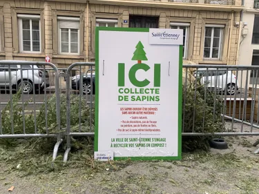 Saint-Etienne et Saint-Victor-sur-Loire : où déposer votre sapin ?