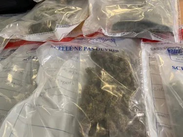 Près de 8,5 tonnes de drogues saisies en Auvergne-Rhône-Alpes...