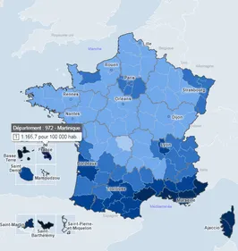 La Martinique passe à un confinement strict pour trois semaines