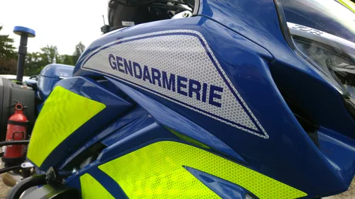 Loire : Ils interviennent pour des faits de violences conjugales,...