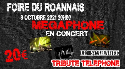 Foire du Roannais : dinos et concerts vont réveiller le Scarabée !