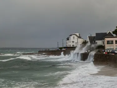 Tempête Aurore : 250 000 personnes privées de courant