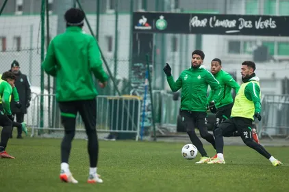 COVID : un cas recensé chez les Verts