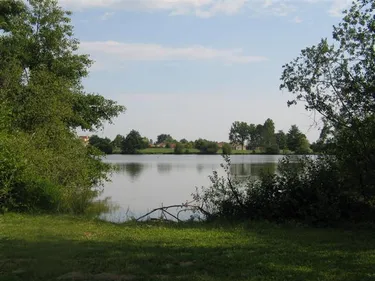 Macabre découverte sur l'étang de Savigneux