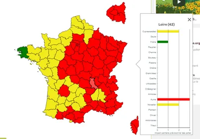 Les pollens de retour dans la Loire