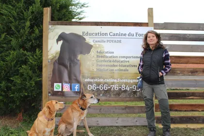 L'éducation canine : faciliter la vie du maitre et du chien