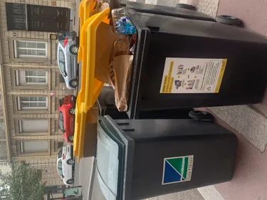 Saint-Etienne : les éboueurs en grève