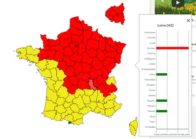 Allergies : la Loire en rouge au bouleau