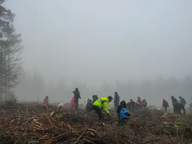 La ville de Saint-Etienne rachète plus de deux hectares dans les...