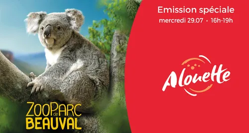 Émission spéciale au Zoo Parc de Beauval