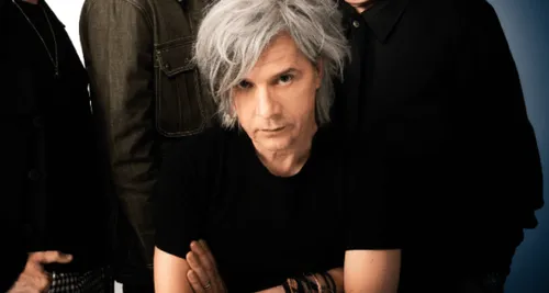 Nicola Sirkis - Invité Alouette