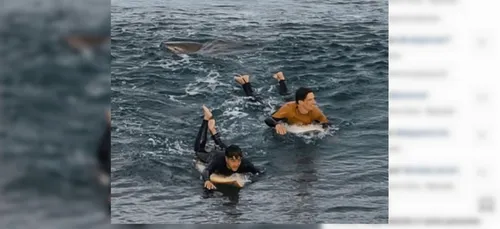 Un surfer français repousse un requin à coups de poings en Australie