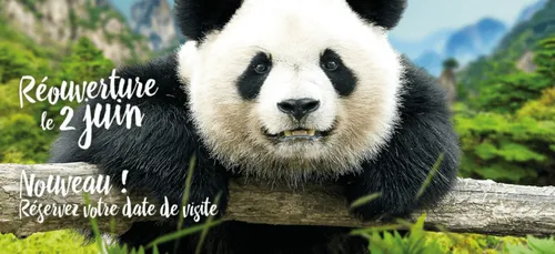 Le Zoo de Beauval : réouverture le 2 juin !