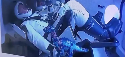 Une peluche de dinosaure envoyée dans l’espace par SpaceX