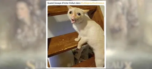 Le Seigneur Des Anneaux : Compilation des meilleurs tweets d'hier...