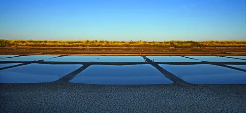 Destination Île de Ré ? Les 5 plus beaux lieux à voir