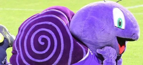 Rugby : l'escargot du SA 15 Cagou élu mascotte de proD2