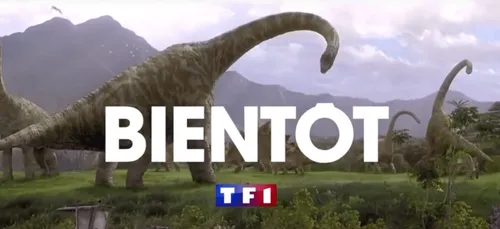 TF1 : après Harry Potter et Le Seigneur des Anneaux, place à...